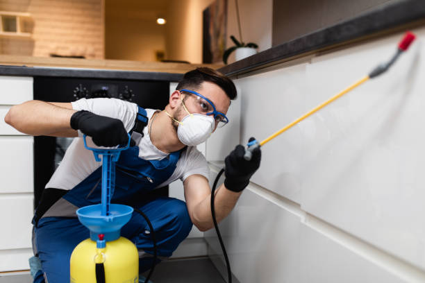 Best Affordable Pest Control Services  in South Pittsburg, TN