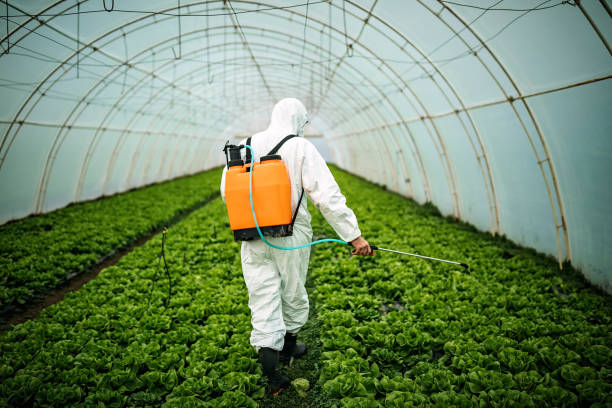 Best Best Pest Control Companies  in South Pittsburg, TN