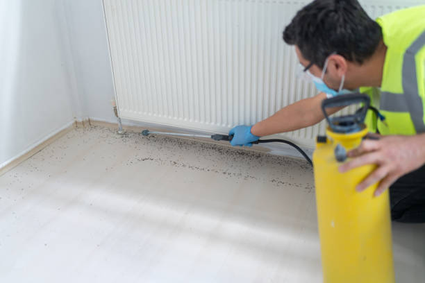 Best Local Pest Control Services  in South Pittsburg, TN